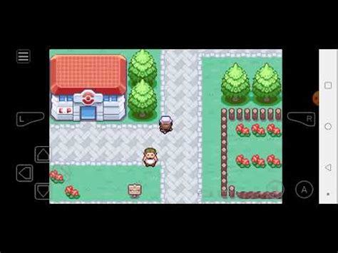 Pokemon Fire Red Ep Ja Evoluindo Um Pokemon Enfrentando O Brock