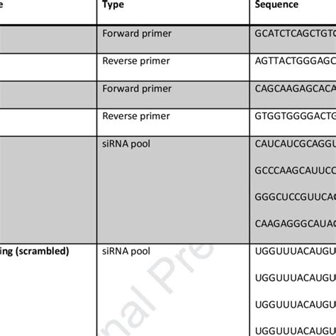 Primer And Small Interfering Rna Sirna Sequences Download