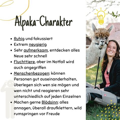 How To Alpaca Alpaka Steckbrief Aabach Farm Alpakas