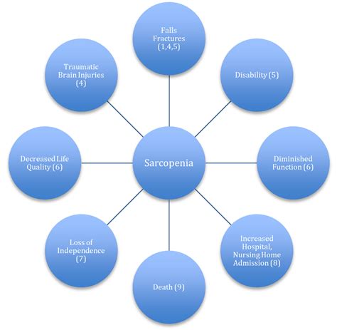 Sarcopenia A Review Of The Validity And Usefulness Of Five Commonly