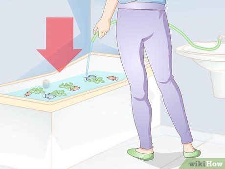 3 Ways to Creatively Decorate a Freshwater Fish Tank - wikiHow Pet
