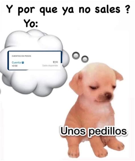 Unos Pedillos El MEME Del Perrito Que Es Perfecto Cuando No Quieres