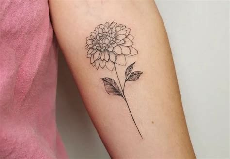 Black Dahlia Flower Tattoo Meaning Best Flower Site