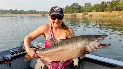 Fishing Salmon Numbers Still Building On The Sac