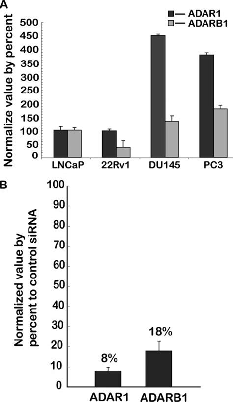 Adar And Adarb Rna Expression In Human Cap Cell Lines A Qpcr