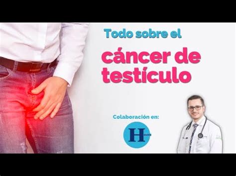 Todo Sobre El C Ncer De Test Culo Causas S Ntomas Prevenci N Y