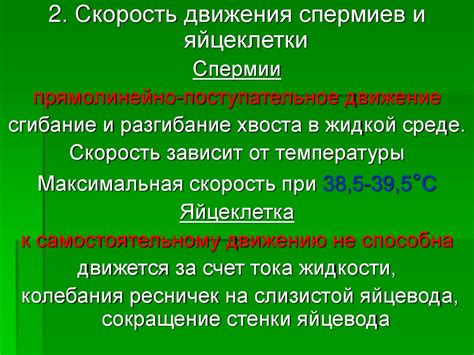 Оплодотворение (лекция) - презентация онлайн