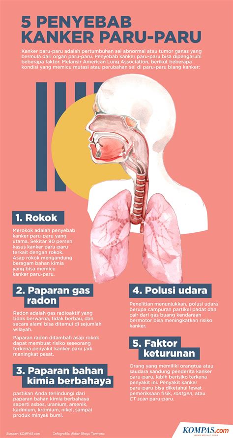 Pencegahan Kanker Paru Paru Ujian