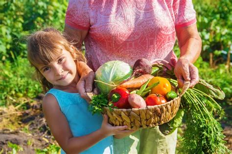 Premium Photo Midsection Of Woman Holding Plant