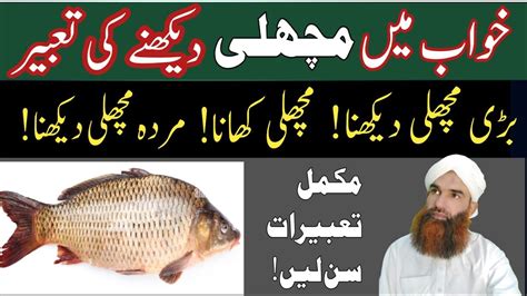 Khwab Mein Machli Dekhna Fish Meaning In Dreams