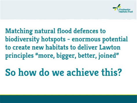 Natural Flood Defences And Biodiversity Freshwater Habitats Trustfreshwater Habitats Trust