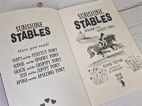 Children's book review: Sunshine Stables. Willow and the Whizzy Pony - Me, him, the dog and a baby!