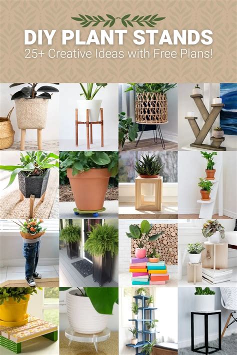 12 Creative Indoor Plant Rack Ideas For Greening Up Your Home