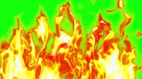 Green Screen Fire Stock Video Footage For Free Download