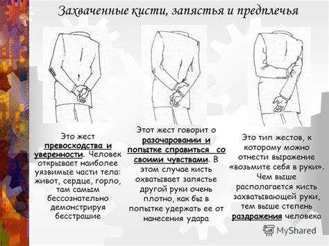 Язык Тела Картинки — Фото Картинки