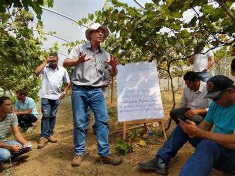 Marechal Floriano Discute Melhores T Cnicas De Cultivo E Processamento