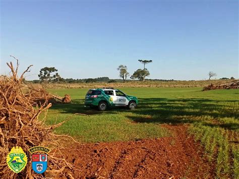 Propriet Rio Rural Autuado Em R Mil Por Desmatamento Ilegal De