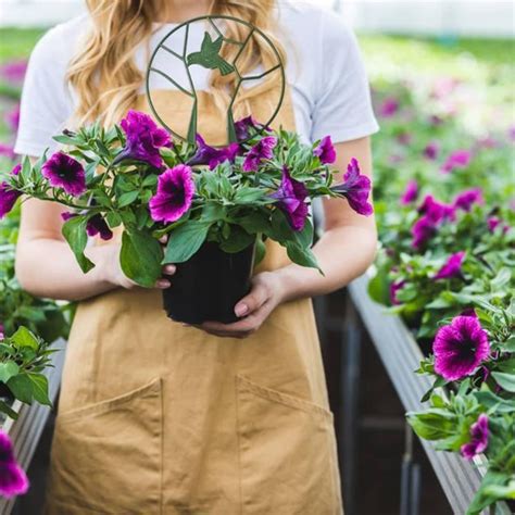 Surenhap Treillis De Vigne V G Tale Treillis De Jardin Pour Oiseaux