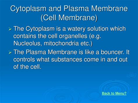 Plant Cell Structure And Function Ppt Download