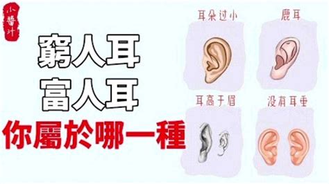 命理运势：耳朵不同命不同！“穷人耳”、“富人耳”，你属于哪一种？腾讯视频