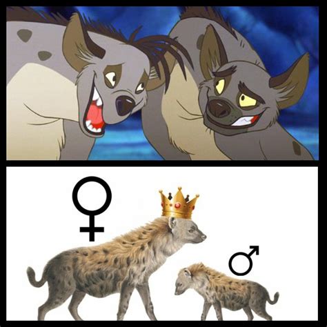 Lion King Characters Hyenas Names