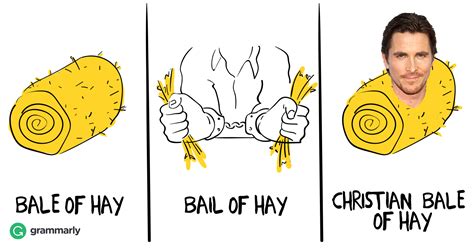 Bale of Hay or Bail of Hay | Grammarly Blog