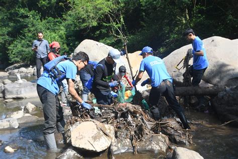 Peringati Hari Lingkungan Hidup Pegawai Pln Uip Jbt Turun Langsung