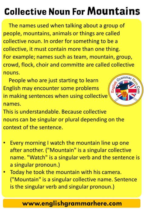 50 Examples Of Collective Nouns English Grammar Here