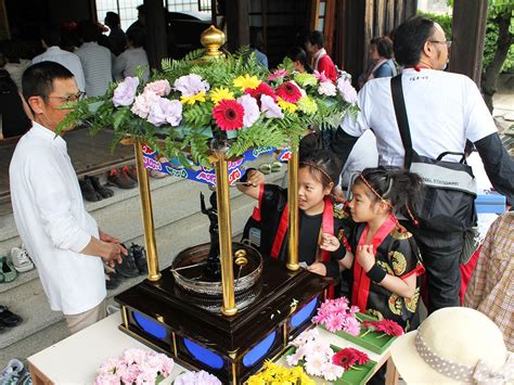 和歌山の慶哉寺で「花まつり」開催へ 地域住民とつくる交流の場に 和歌山経済新聞