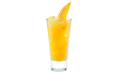 Rum Orange Juice Drink Recipes Bryont Blog