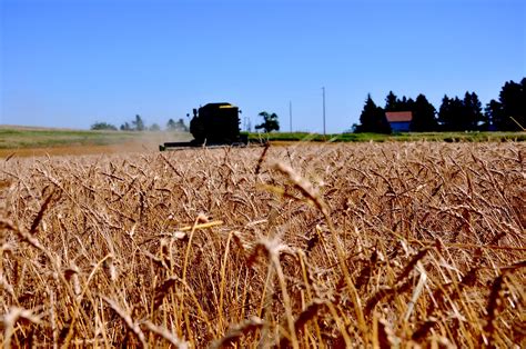 How To Start Homesteading In North Dakota Hello Homestead