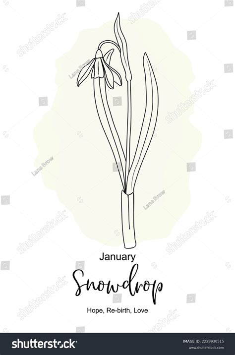 271 January Birth Flower Images, Stock Photos & Vectors | Shutterstock