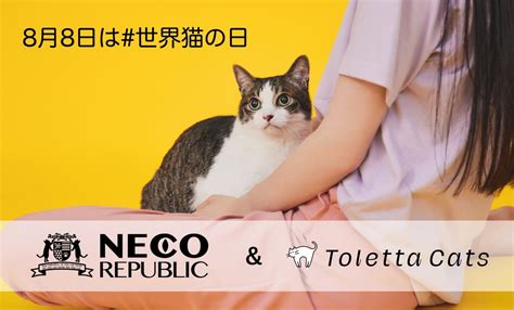 ＜8月8日は 世界猫の日 ＞すべての猫の幸せと健康を願って。トレッタキャッツ×ネコリパブリック トレッタで、愛猫ちゃんだけでなく保護猫の幸せ