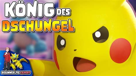 ⚡️ Los Pikachu 🐹 Alter Hast Du Grad Meinen Hamster In Die