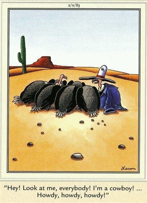 Pin By Larry Stehr On Cowboy Humor Cartoon Drawings Of Animals Far