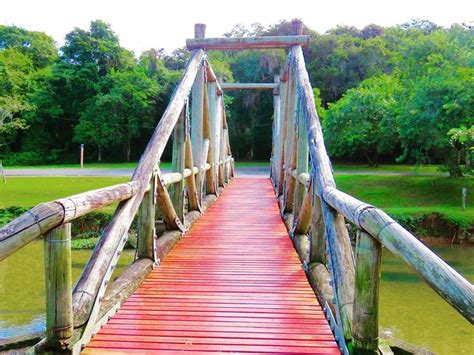 2017 06 21 Parque Barigui Ponte De Madeira