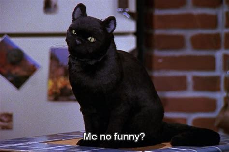 Salem The Cat Memes on Tumblr