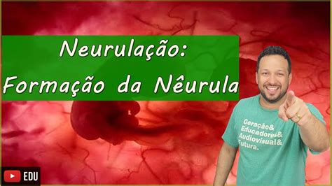 Neurula O Forma O Da N Urula Embriologia Aula Youtube