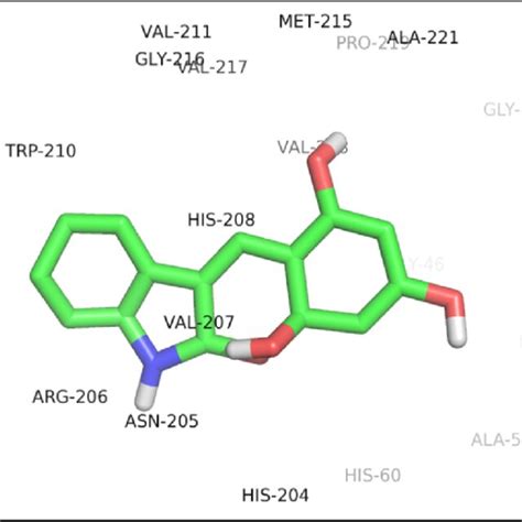 A The Binding Orientation Of Compound Within The Active Site Of