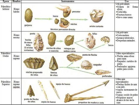 Paleolítico Página Jimdo de webhistorica Evolución humana Hominidos