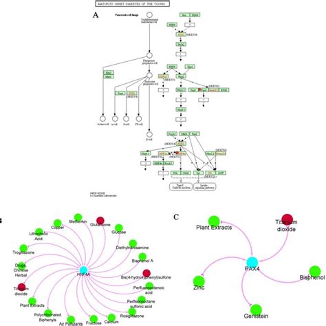 Key Genes Pathway Identification And Potential Drug Design A Kegg Download Scientific