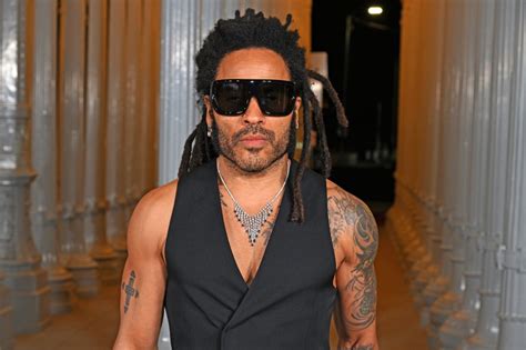 Lenny Kravitz Clarifies Comments on Black Awards Shows | Us Weekly