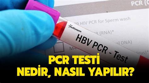 Pcr Testi Nedir Nas L Yap L R Pcr Testi Kimler Yapt R R