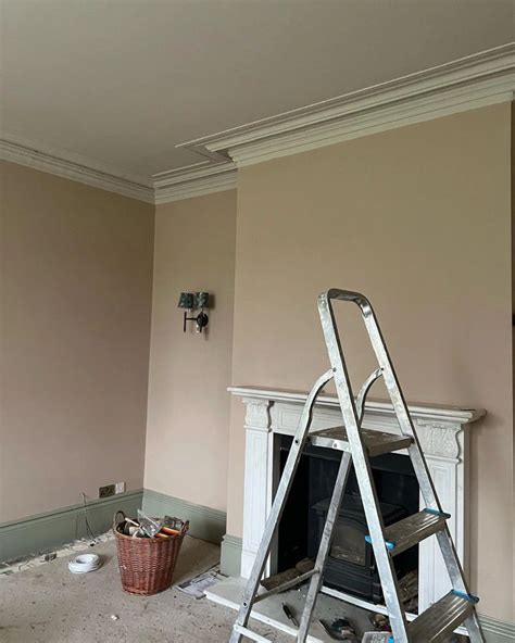 Farrow And Ball Pink Paint Colors For Living Room