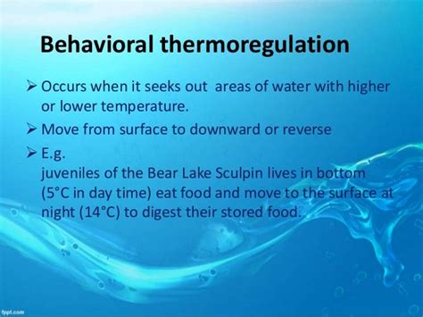 Thermoregulation In Vertebrates