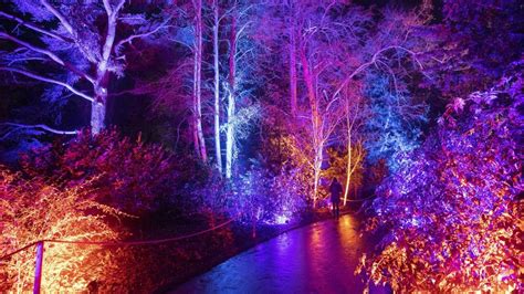 Christmas at Waddesdon Manor Gardens Only Tickets - Best Prices Online