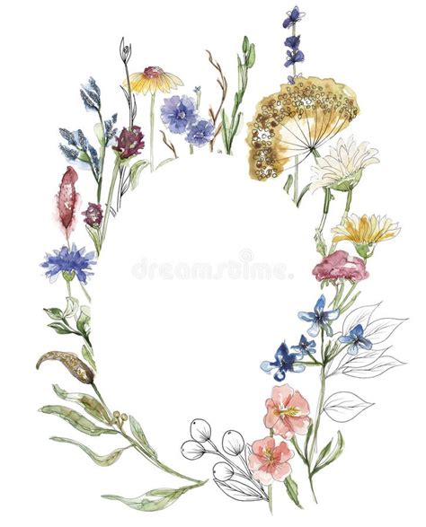 Watercolor Wildflowers And Grass Wreath Illustration Meadow Flowers