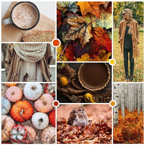 Moodboard Fall Feelings Melissa Carter Design Fall Feels Fall