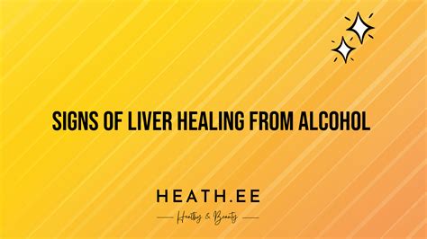 Signs Your Liver Is Healing From Alcohol A Guide To Understanding The