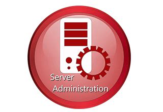 server admin armour infosec